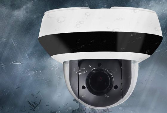 PTZ Dome Security Camera In Black And White