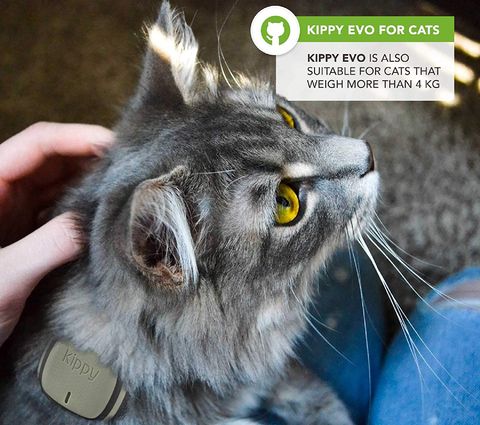 Small GPS Tracker For Cats With Green Exterior