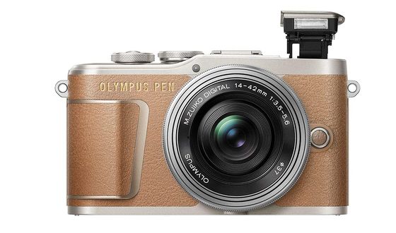 Digital Camera With Light Brown Finish