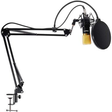 Studio Microphone Set With Fixing Clamp