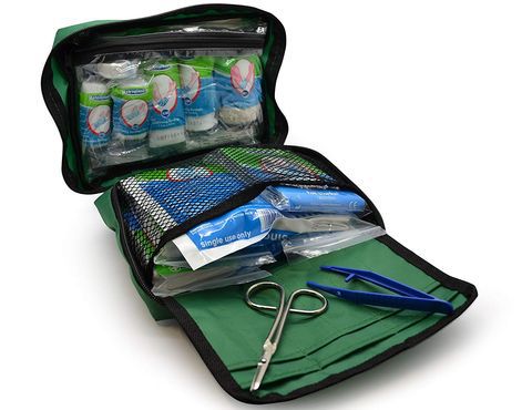 Small First Aid Kit In All Green