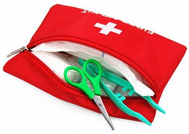 Kit For Emergencies In Red Bag
