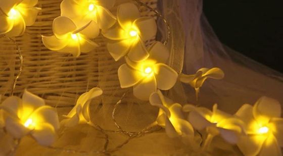 Frienda Indoor String Lights Flowers Indoor String Lights Hawaiian Flower