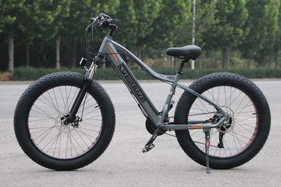 20 Inch Electric Bicycle In Blue