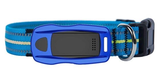 GPS Collar For Cats, With Dog And Cat In Photo