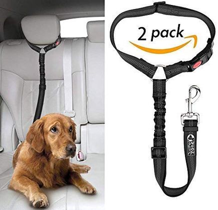 Headrest Dog Restraint In Black Colour