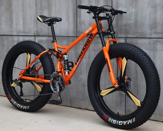 Get The WSY Now Fat Bike With Blue Saddle