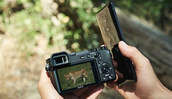 Small Camera With Viewfinder In Mans Hand