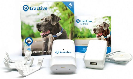 Tractive GPS Tracker GPS Tracker In White With Blue Band