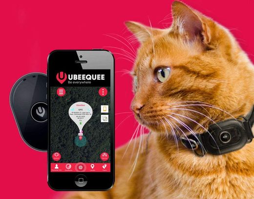 UBEE CAT GPS Tracker CAT GPS Tracker On Ginger Moggy