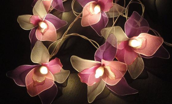 Windhorse Indoor Fairy Light Flowers Indoor Fairy Light Flowers In Red