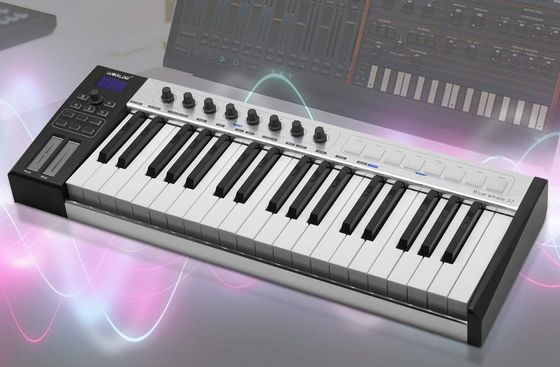 Portable Keyboard Piano With Settings