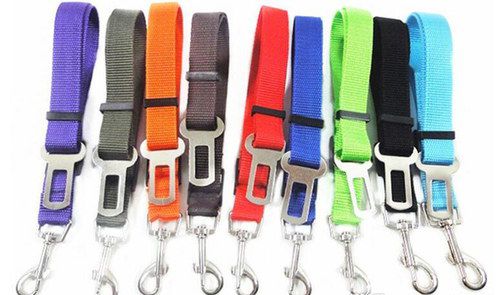 Dog Seat Belt Harness Guide For Your Animals Safety