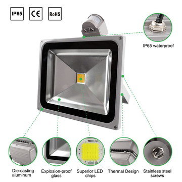 Motion Sensor Light With Steel Screws