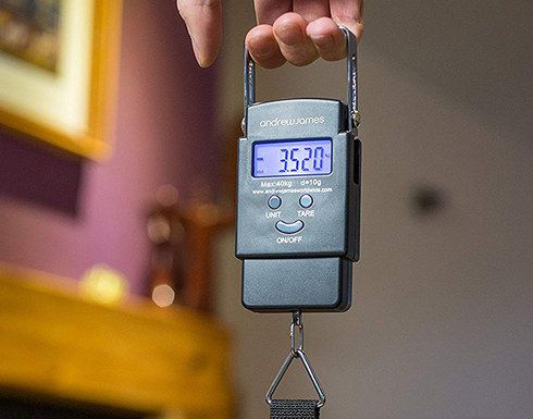 No More Excess Hand Scale LCD Hand Scale With Square Blue Screen