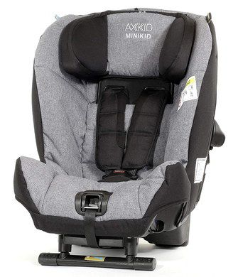 Rearward Car Seat In Light Grey