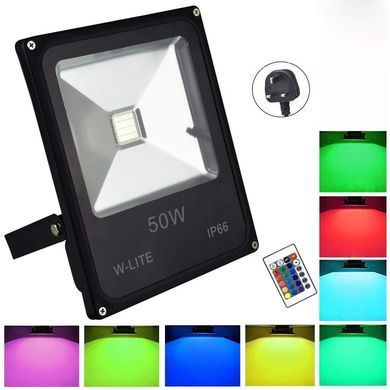 Outdoor LED Floodlight With Black Plug