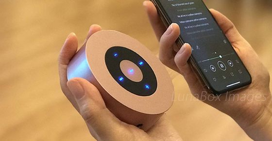 LunaBox Rechargeable Bluetooth Speakers Rechargeable Bluetooth Speakers In Steel Finish
