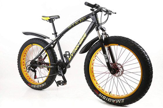 Mountain Fat Bike With Black Mudguards