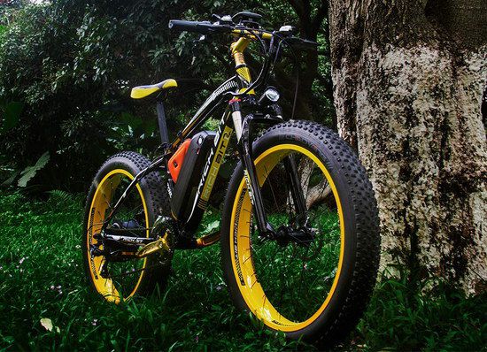 Get The Rich Bit Now E Fat Bike With Green Wheels