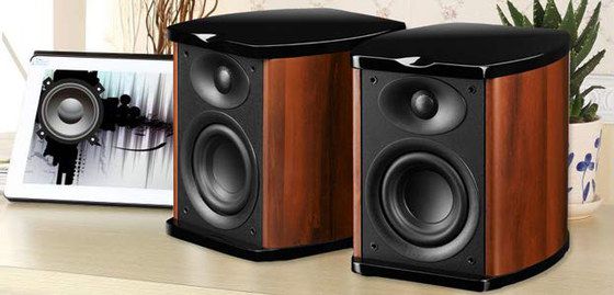 Swan Small Bookshelf Speakers Bookshelf Speakers In Wood And Black