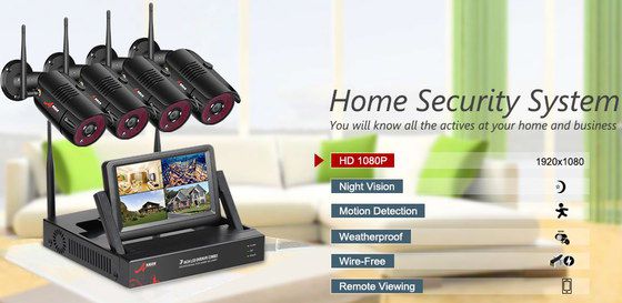 The Swinway External IP Camera External IP Camera With Mini Viewer