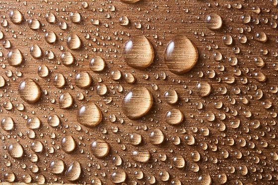 Large Piece Of Wet Timber Large Piece Of Wet Timber