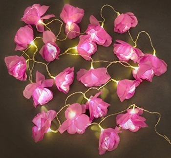 Attractive String Stunning LED Pretty Fairy Lights Stunning LED Pretty Fairy Lights In Crimson Finish