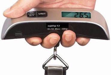 T-Shaped Travel Luggage Scales Travel Scales In Brushed Steel