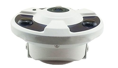 IP Dome Camera In Black And White