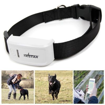 Pet GPS Cat Tracking Collar In Black And White